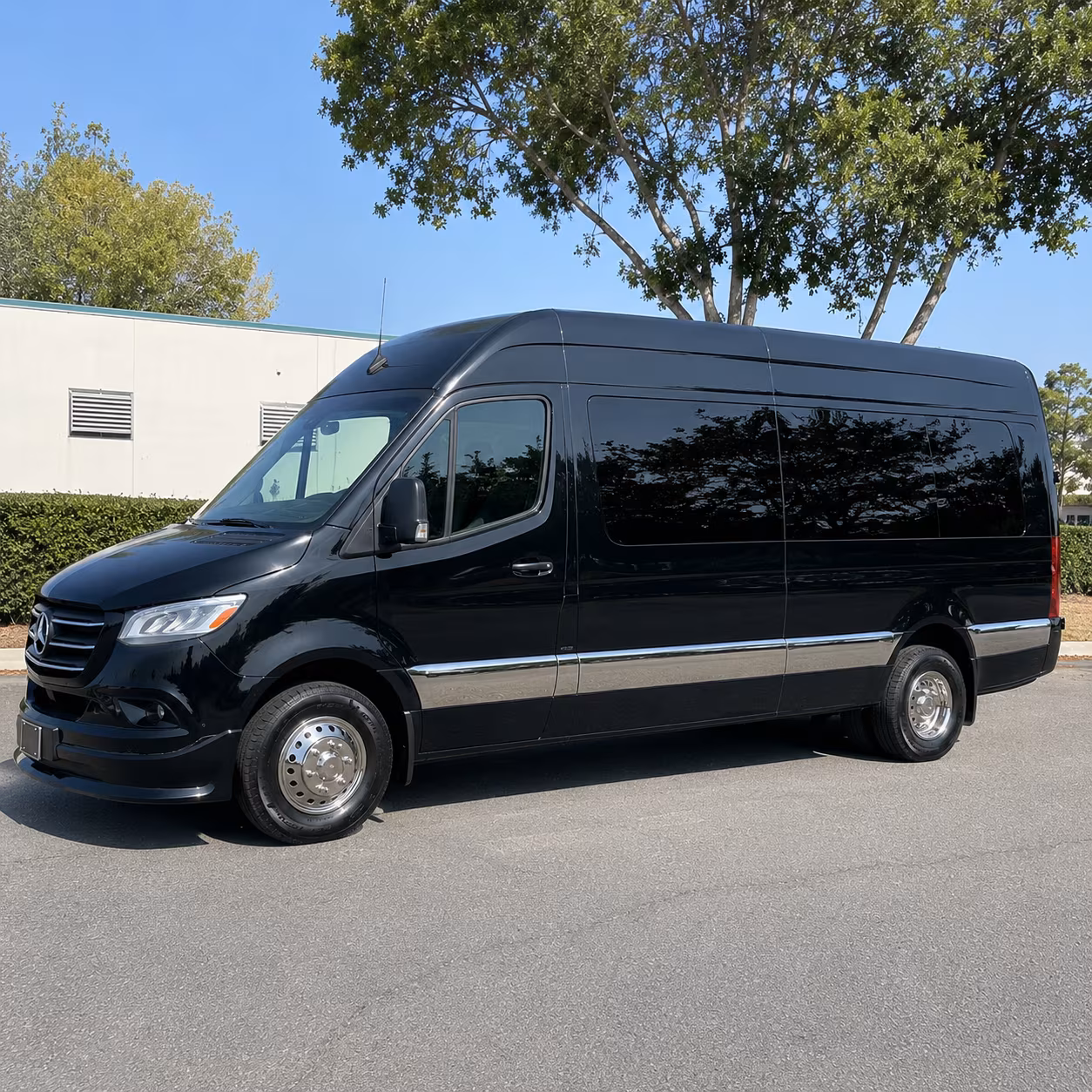 San Antonio School Event Transportation party bus exterior