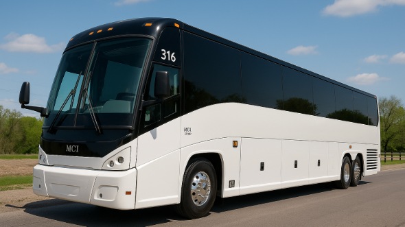 laredo bachelor and bachelorette party bus rentals
