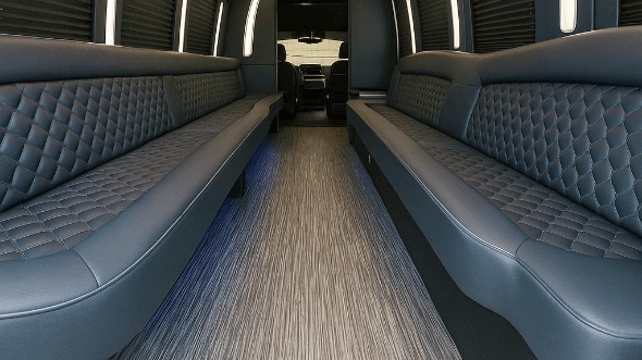 new braunfels 20 passenger party bus