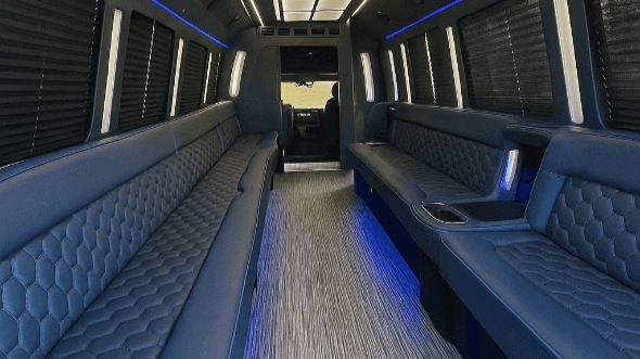 san antonio 30 passenger party bus interior